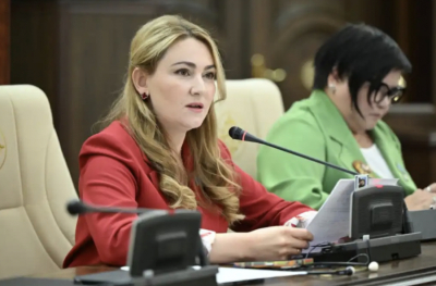 &ldquo;Әлі күнге дейін мүгедектігі бар азаматтардың тілін толық түсініп болған жоқпыз&ldquo; - депутат