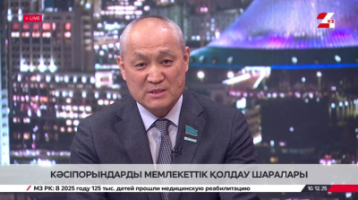 Кәсіпорындарды мемлекеттік қолдау шаралары. Еділ Жаңбыршин