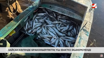 Зайсан көлінде үш браконьерлік топ құрықталды