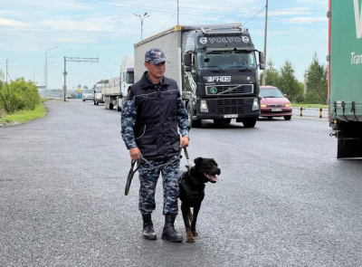 Астанада қызметтік ит автокөліктен есірткі тауып алды