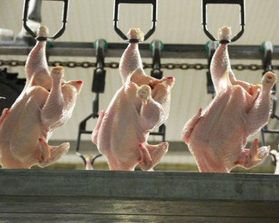 Отандық өнімдер 15-тен астам мемлекетке экспортталып жатыр