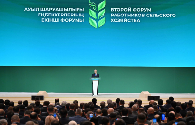 Біздің ведомстволар түрлі жоспарлар мен жол карталарын әзірлеумен әуестеніп кетті – Президент