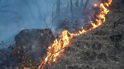 Испанияда тұрғындар орман өртінің кесірінен үйлерінен қашып шықты