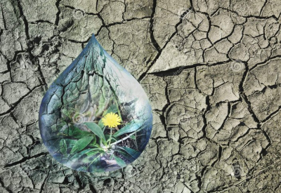 Елімізде су проблемасын қалай шешеміз?