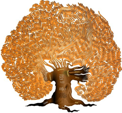 Тарихқа әркімнің де бар таласы...