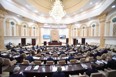 Депутат Құрылтай комитеттері мүшелерінің санын шектеуді ұсынды