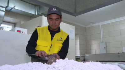 Ғалымдарымыз көктайғаққа қарсы материал әзірледі