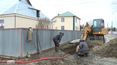 Қызылорда облысында күріштің орнына майлы дақылдар егіледі