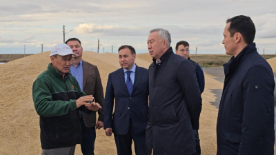 Елімізде асыл тұқымды мал шаруашылығын дамытатын бағдарлама бастау алады