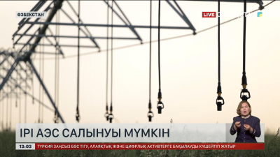 Ресей Өзбекстанда ірі АЭС салуы мүмкін