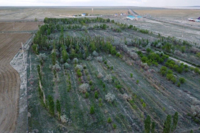 Аралда &quot;Таза Қазақстан&quot; экологиялық жобасы аясында қарқынды жұмыстар жүргізілуде