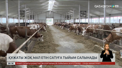Қазақстанда құжаты жоқ мал етін сатуға тыйым салынады