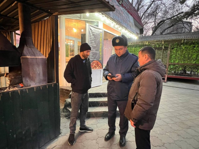 Алматыда қатты отын қолданатын кәуапханаларға бақылау күшейтілді