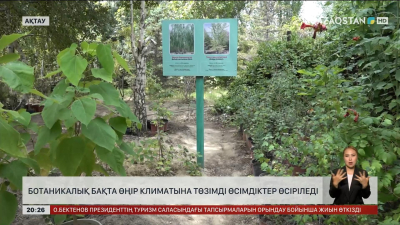 Ақтауда ботаникалық бақта өңір климатына төзімді өсімдіктер өсіріледі