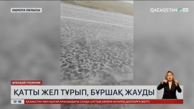 Ақмола облысында қатты жел тұрып, бұршақ жауды