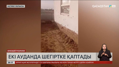 Ақтөбе облысында екі ауданда шегіртке қаптады