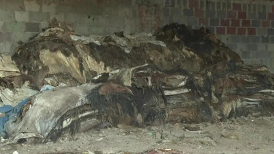 &quot;Өртеп жібердім&quot;: Қазақстанда кәсіпкерлер жинаған мал терісін қоқысқа тастап, өртеуге мәжбүр