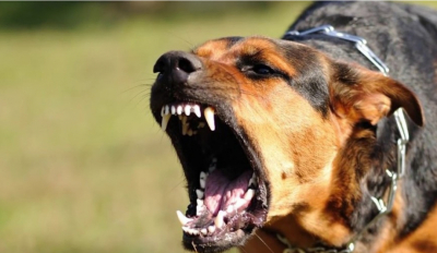 Неге азаматтардың қауіпсіздігі қатерге тігіліп отыр?