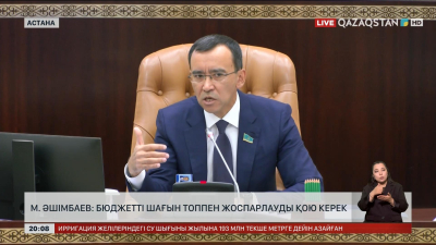 М.Әшімбаев: Бюджетті шағын топпен жоспарлауды қою керек