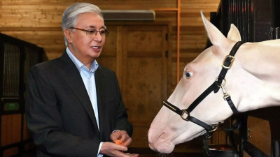 Президент сыйға тартылған тұлпарларды арнайы барып көрді