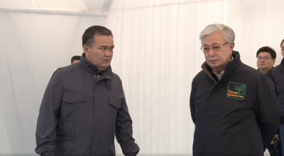“Вандализмге жол жоқ, бұзақыларды жауапкершілікке тарту керек“ - Тоқаев