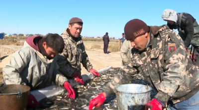 Бес жылда балық өсірушілер 4 есе көбейді