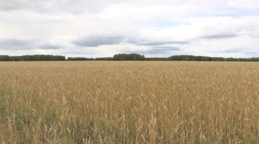 Агроөнеркәсіп өнімі 1,6 есе ұлғайды