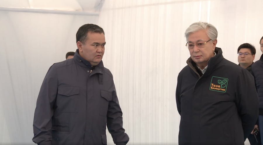 “Вандализмге жол жоқ, бұзақыларды жауапкершілікке тарту керек“ - Тоқаев